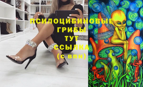 а пвп мука Богданович
