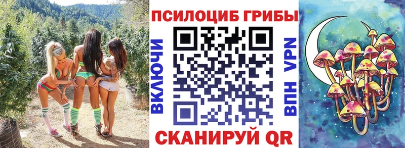 Галлюциногенные грибы мицелий  Мамадыш 